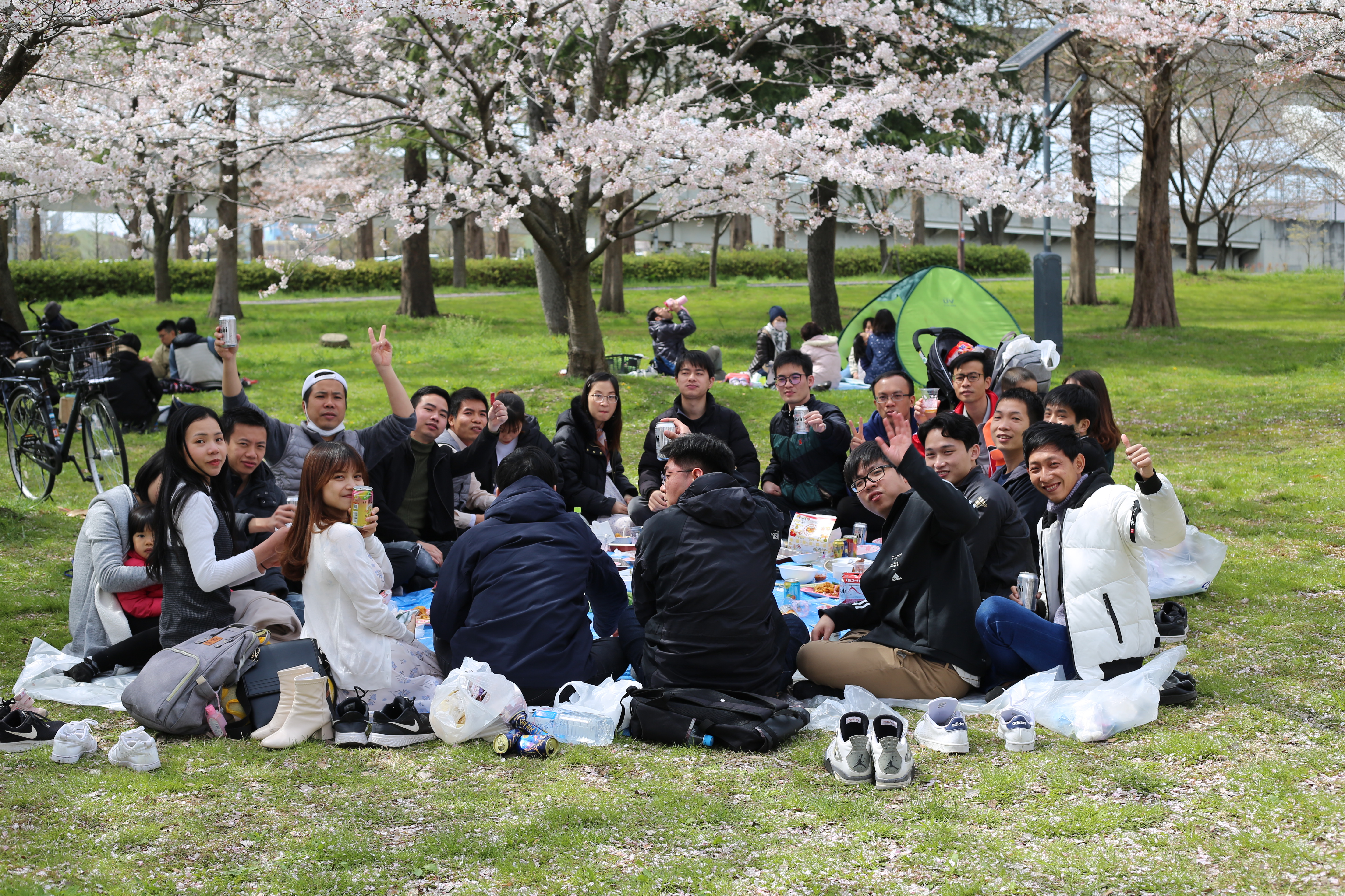 Rikaiの仲間と花見